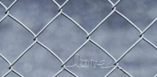 Siatka ogrodzeniowa – funkcjonalne i trwałe ogrodzenie dla domu z drewna i nie tylko