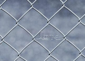 Siatka ogrodzeniowa – funkcjonalne i trwałe ogrodzenie dla domu z drewna i nie tylko Siatka ogrodzeniowa – funkcjonalne i trwałe ogrodzenie dla domu z drewna i nie tylko