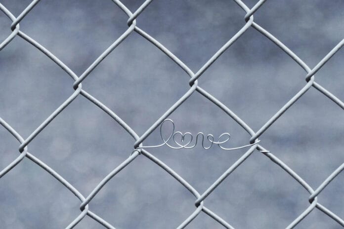 Siatka ogrodzeniowa – funkcjonalne i trwałe ogrodzenie dla domu z drewna i nie tylko