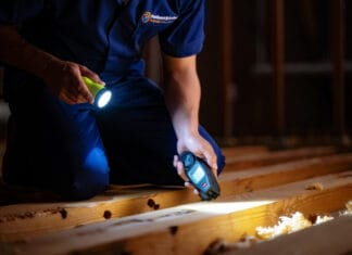 Słychać skrobanie w drewnie – co to może być?