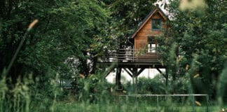 Jakie są rodzaje domków drewnianych?