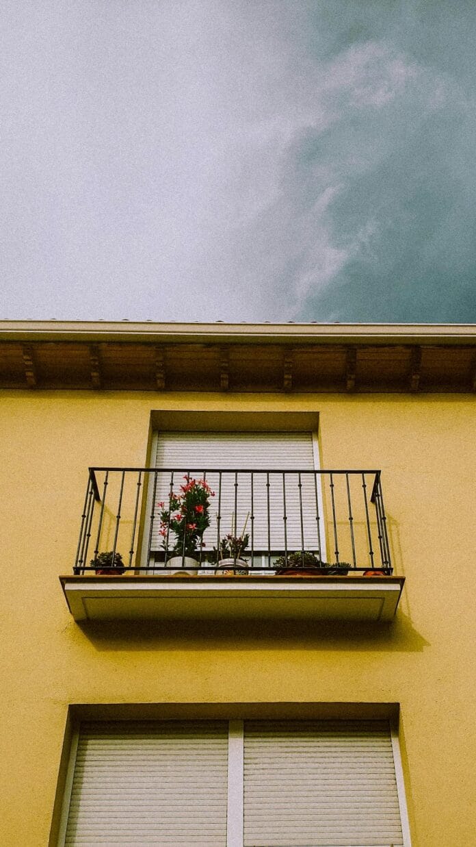 pexels-altamar-17586062